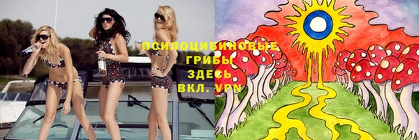 индика Уссурийск