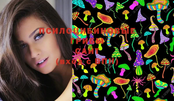 молекула духа Березники