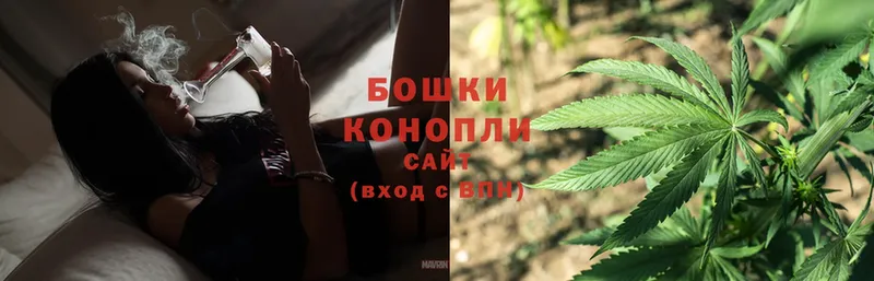 Шишки марихуана OG Kush  где купить   блэк спрут маркетплейс  Карачев 